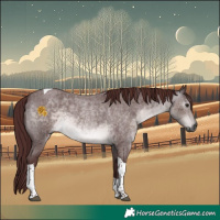Horse Color:Gray Platinum Chocolate Buckskin Roan Tobiano 