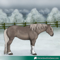 Horse Color:Silver Black Tobiano 