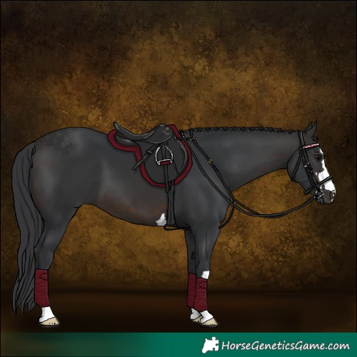 Horse Color:Brown 