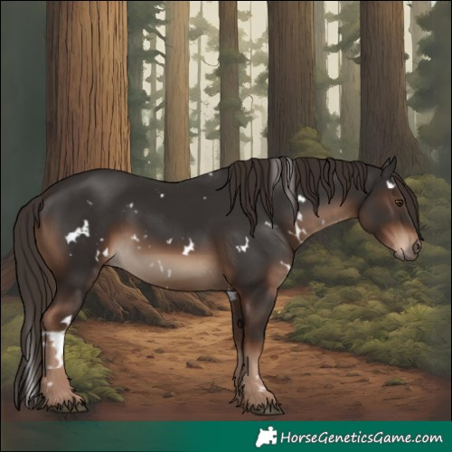 Horse Color:White Spotted Liver Chestnut 
