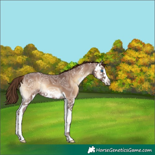 Horse Color:Red Onyx Ice Sabino Splash 