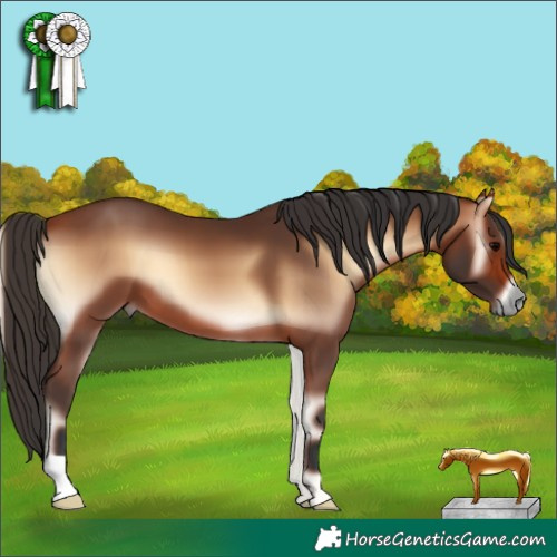 Horse Color:Bay Onyx 