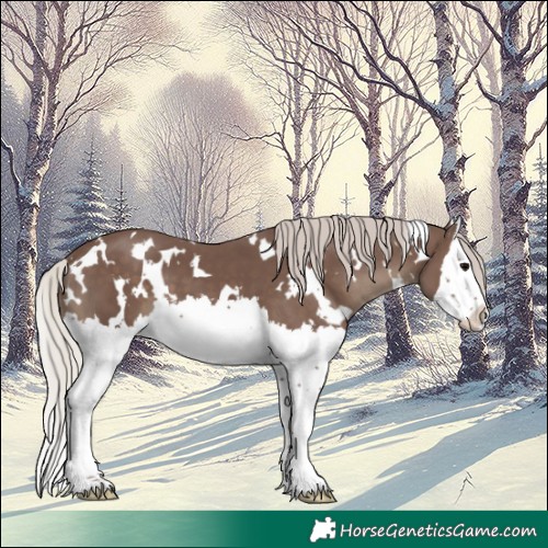 Horse Color:White Spotted Silver Black Splash 