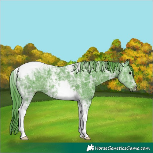 Horse Color:Watercolor Smoky Black Ice Tobiano 