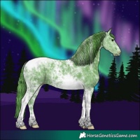 Horse Color:Watercolor Smoky Black Ice Tobiano 