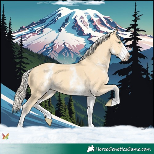 Horse Color:White Spotted Gold Cream Champagne