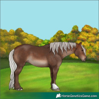 Horse Color:Silver Brown 
