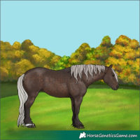 Horse Color:Silver Brown