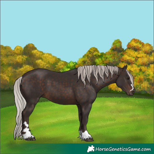Horse Color:Silver Brown