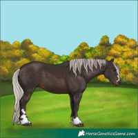 Horse Color:Silver Brown 