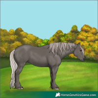 Horse Color:Silver Black 