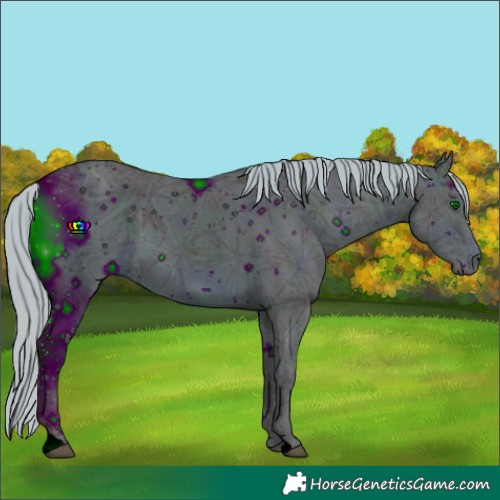 Horse Color:ERROR: UNKNOWN ANOMALY