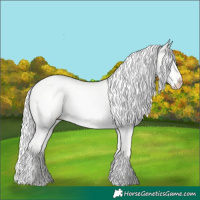 Horse Color:Silver Perlino Dun 