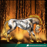 Horse Color:Classic Champagne Tobiano Appaloosa