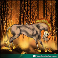 Horse Color:Amber Champagne