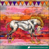 Horse Color:Amber Champagne Appaloosa 