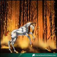 Horse Color:Classic Champagne Tobiano Appaloosa 