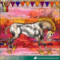 Horse Color:Sable Champagne Appaloosa 