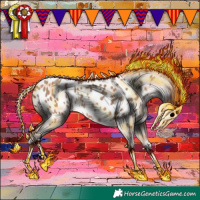 Horse Color:Sable Champagne Appaloosa