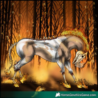 Horse Color:Amber Champagne Tobiano 