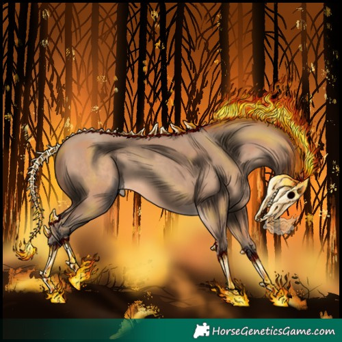 Horse Color:Amber Champagne 