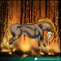 Horse Color:Classic Champagne