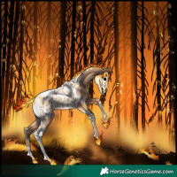 Horse Color:Sable Champagne Tobiano Appaloosa