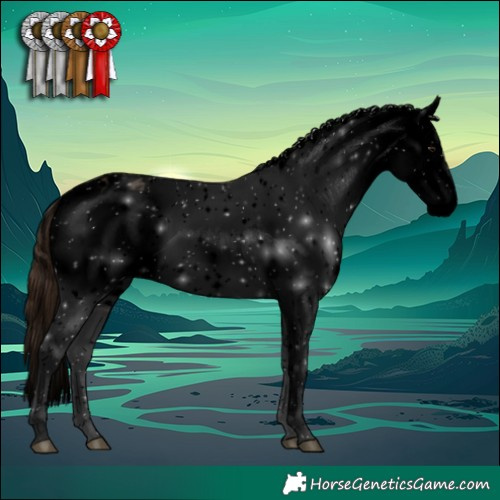 Horse Color:Void White Spotted Brown Dun Appaloosa 