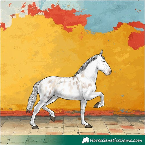Horse Color:Liver Red Dun Pearl Onyx Mushroom Sabino Splash Tobiano Appaloosa 