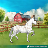 Horse Color:Liver Red Dun Pearl Onyx Mushroom Sabino Splash Tobiano Blanket