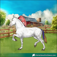 Horse Color:Painted Liver Red Dun Ice Roan Near Leopard Rabicano 