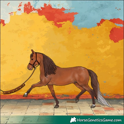 Horse Color:Chocolate Bay 