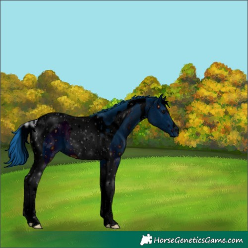 Horse Color:ERROR: UNKNOWN ANOMALY