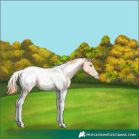 Horse Color:Classic Champagne Pearl Tobiano Varnish 