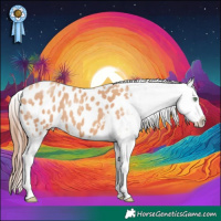 Horse Color:Amber Champagne Appaloosa