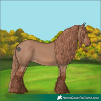 Horse Color:Red Dun 