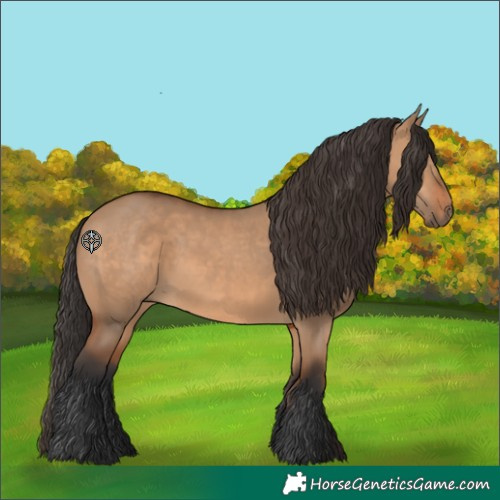 Horse Color:Bay Dun 