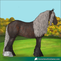 Horse Color:Silver Brown Rabicano 