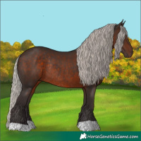 Horse Color:Silver Brown Rabicano 