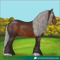 Horse Color:Silver Brown Rabicano 