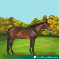 Horse Color:Brown 