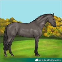 Horse Color:Smoky Grullo 