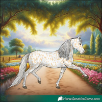 Horse Color:Palomino Appaloosa