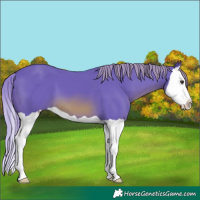 Horse Color:Watercolor Chestnut Splash 