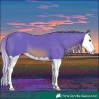 Horse Color:Watercolor Chestnut Splash