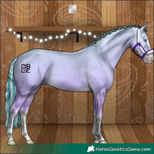 Horse Color:Platinum Painted White Spotted Gold Cream Champagne 