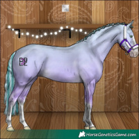 Horse Color:Platinum Painted White Spotted Gold Cream Champagne