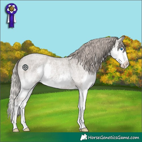 Horse Color:Silver Grullo Roan Splash 