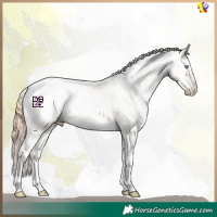 Horse Color:Classic Champagne Pearl Mushroom Sabino Tobiano Appaloosa 