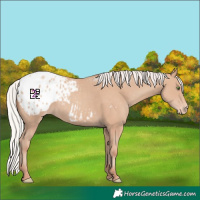 Horse Color:Silver Classic Champagne Mushroom Appaloosa 